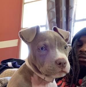 Meet your Posher, Keith